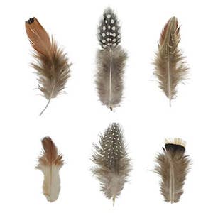 13 inch and up Rooster Feathers –  by Zucker