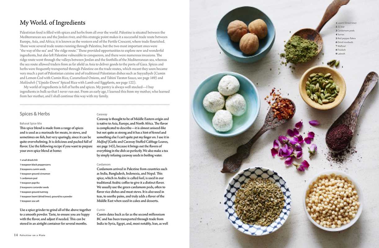 Simon & Schuster - Wholesale Cookbooks & Food - Palestine on a Plate by Joudie Kalla3