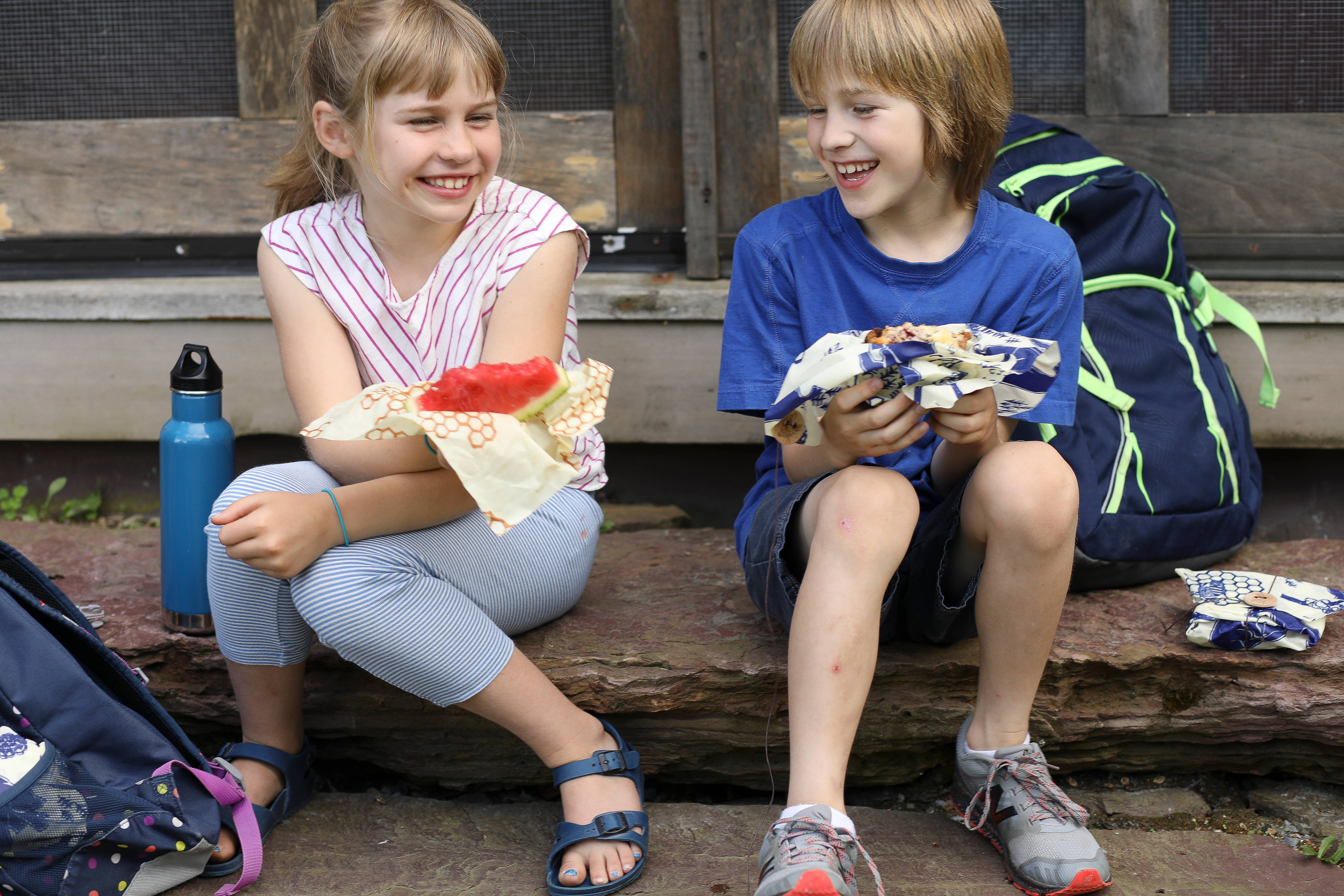 Bee's Wrap - Wholesale Food Storage Wrap/Bag - Sandwich Wrap - Honeycomb7