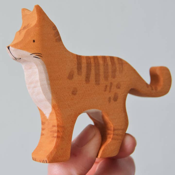 Chat roux pour la vente par Eric & Albert