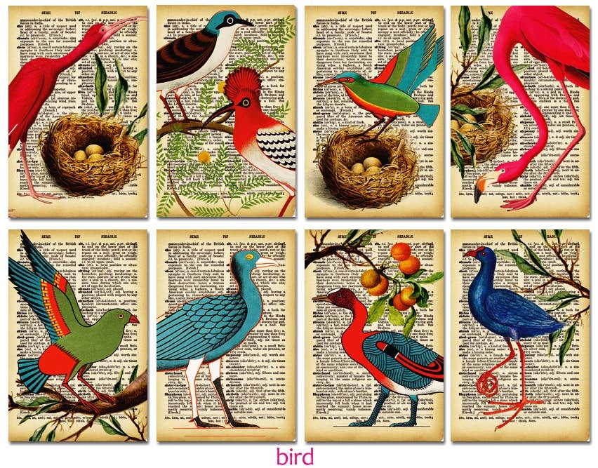 DECORER - Wholesale Gift Tag - Bird - Gift Tag Set 24 pcs1