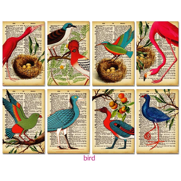 DECORER - Wholesale Gift Tag - Bird - Gift Tag Set 24 pcs1