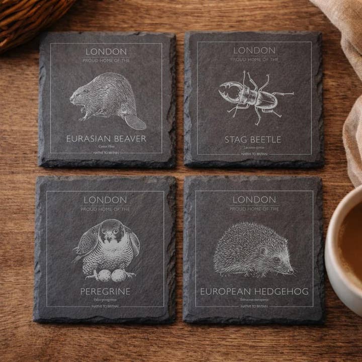 London British Wildlife Slate Coaster Set, Native Birds of Prey & Wildlife Watching Gift, Farmhouse Homeware for wholesale by Pause Designs Home