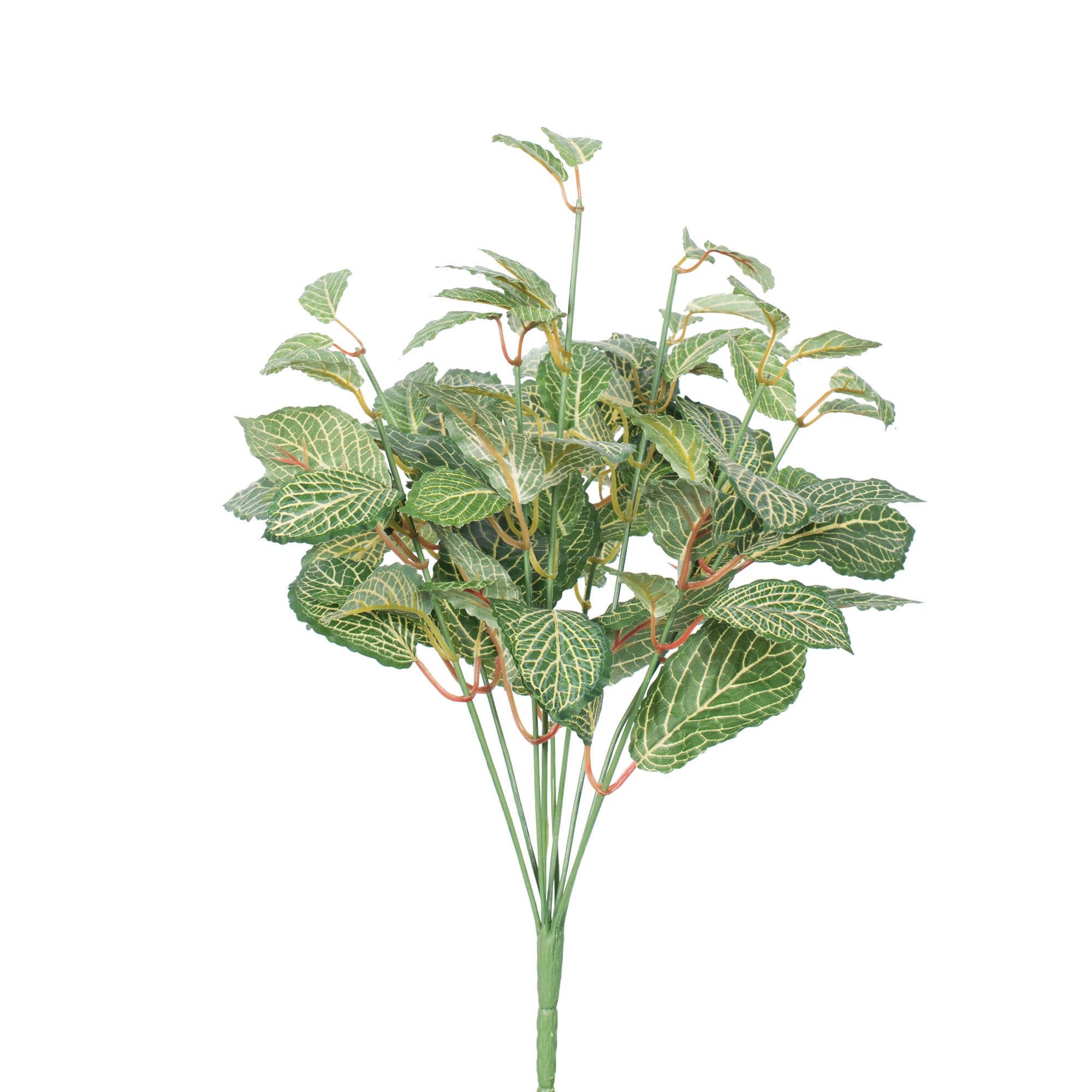 Vickerman 17" Artificial Green Fittonia Bush. for wholesale on Faire0