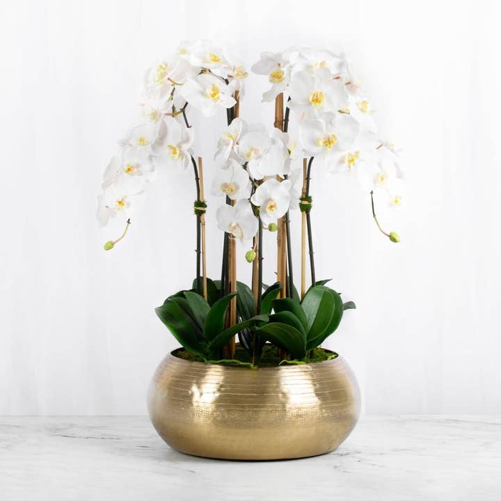 Large Orchid Centerpiece Arrangement in Gold Vase for wholesale by Vivian Rose LLC