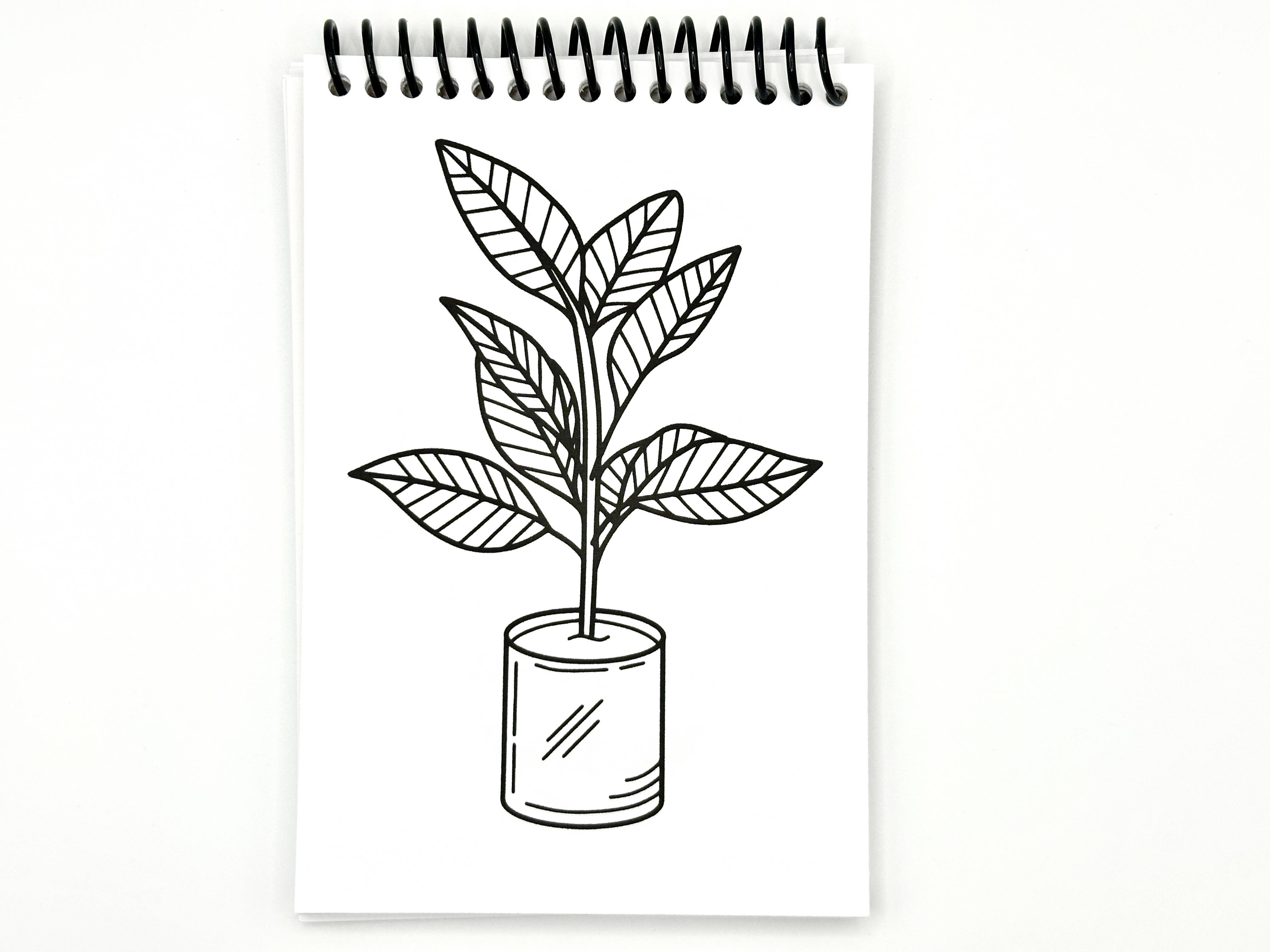 Elizabeth Riley Paperie - Wholesale Coloring & Activity Book - Adult - Small Coloring Book Houseplant Edition6