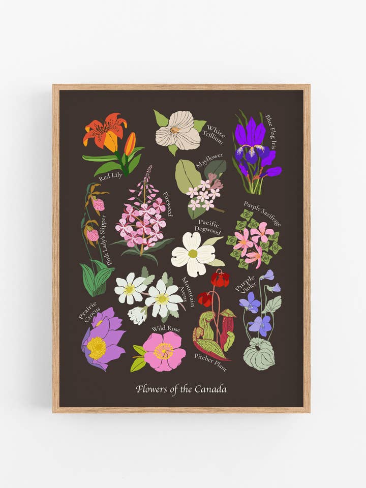 Impression artistique sur les fleurs du Canada | 3 options de taille pour la vente par Artistry Cards