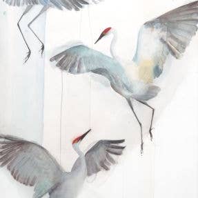 Sandhill Crane ~ "Ascend" ~ "Oh, to Fly" ~ Giclée Print for wholesale by Holly Wach Art LLC