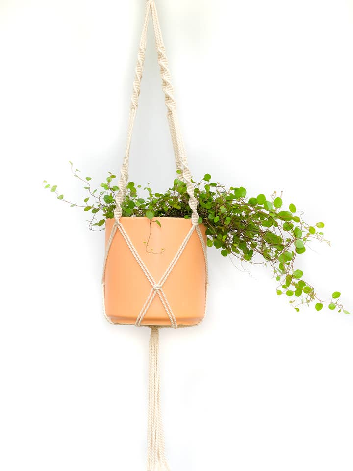 Suspension pour plante en macramé en coton (45 pouces) pour la vente par Creation Jute
