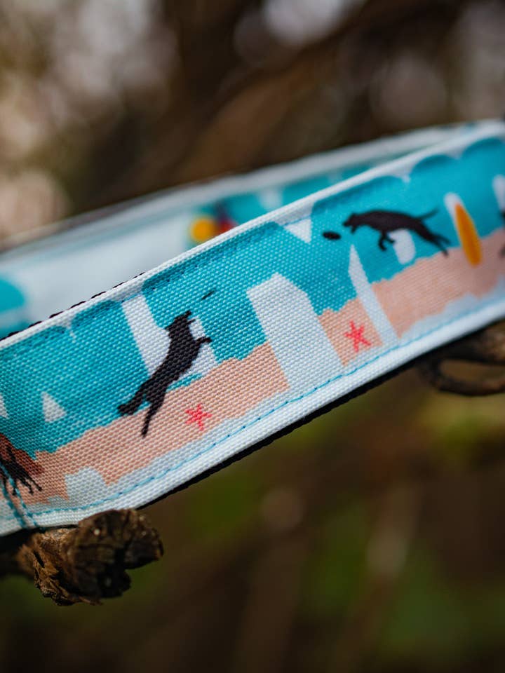 Collier pour chien en toile recyclée - Salty dog pour la vente par Wild juniper