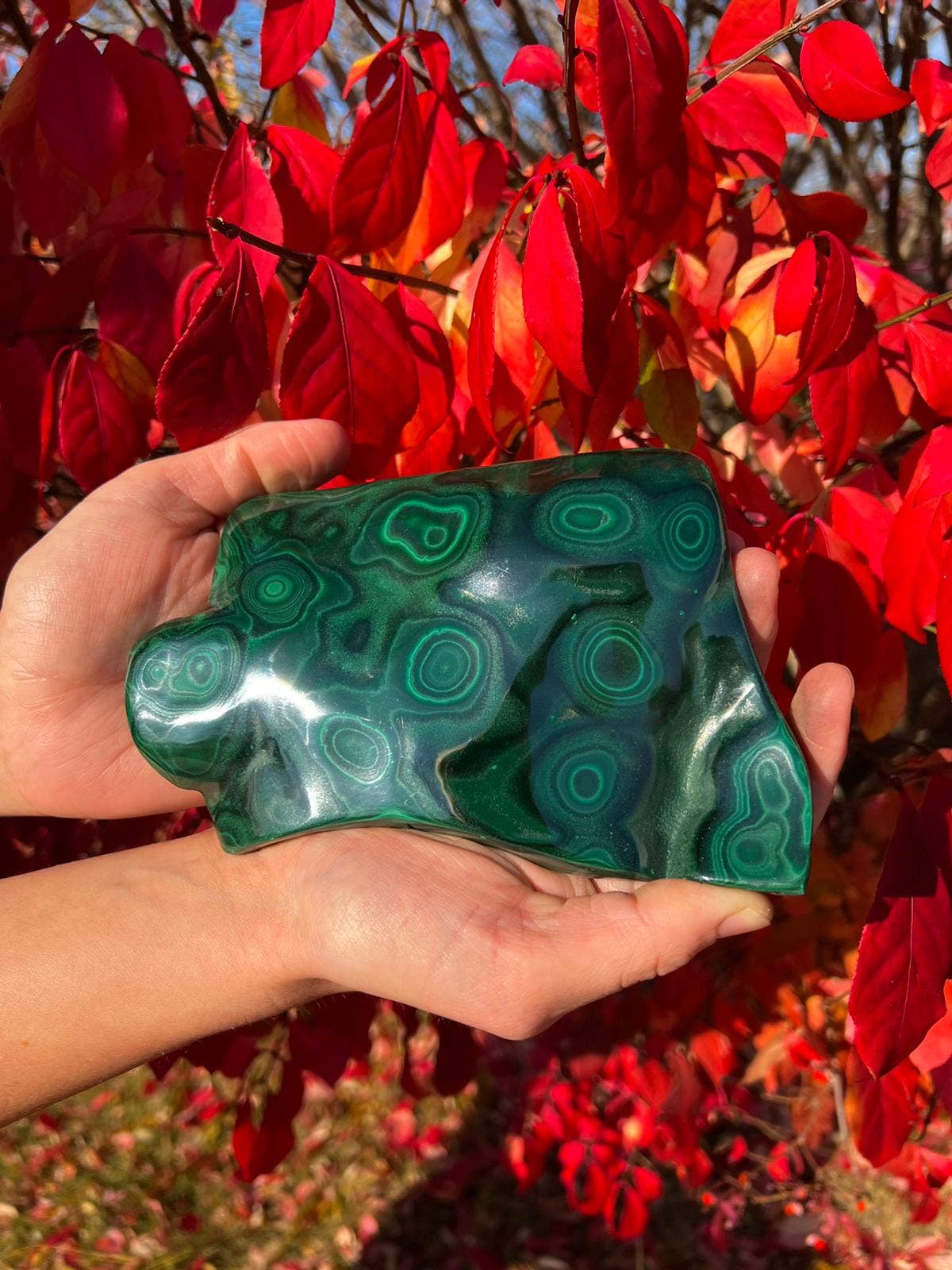 Quasar Gems USA – wholesale Spiritual stone/crystal – Malachite Polished Free Forms Per Kilo3