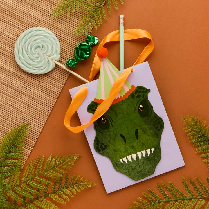 Hootyballoo by Club Green – Saco/caixa para lembranças por atacado – Sacos de Festa de Dinossauro - Pack de 5