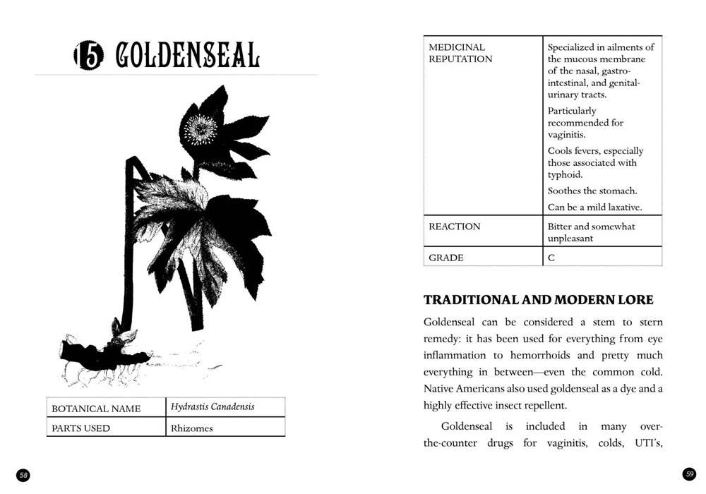 Microcosm Publishing & Distribution - Wholesale Nature & Outdoors Book - Everyday Herbal Teamaking: Health, Fun, and Self-Care Guide6