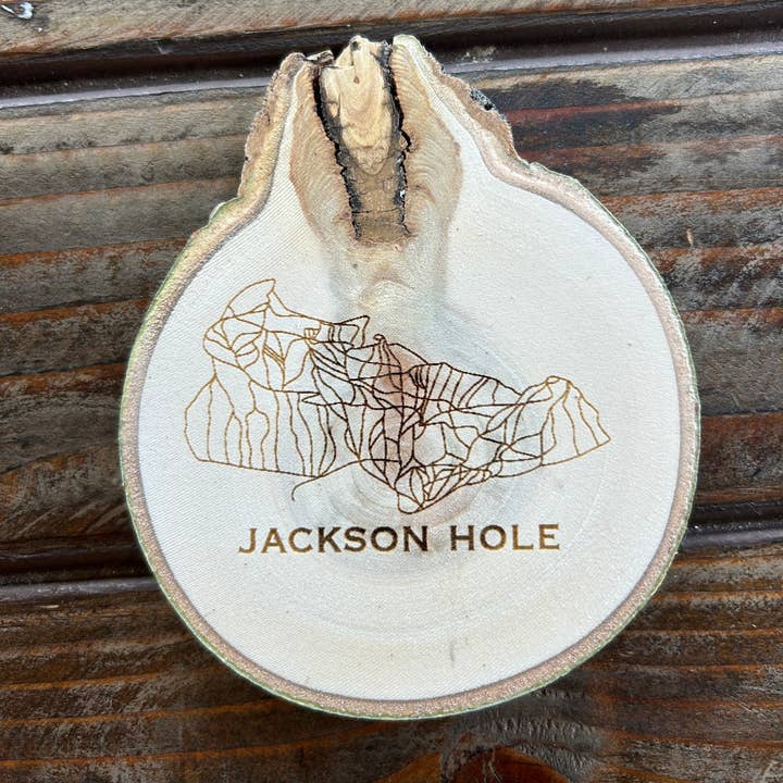 Jackson Hole Ski Resort Coaster, Ski Trail Map, Aspen Wood for wholesale by Parks Art Collection