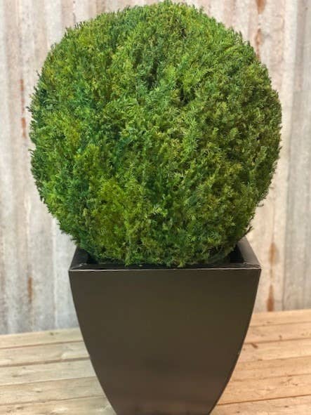 Forever Green Art - Wholesale Artificial Plant - Preserved Juniper Globe