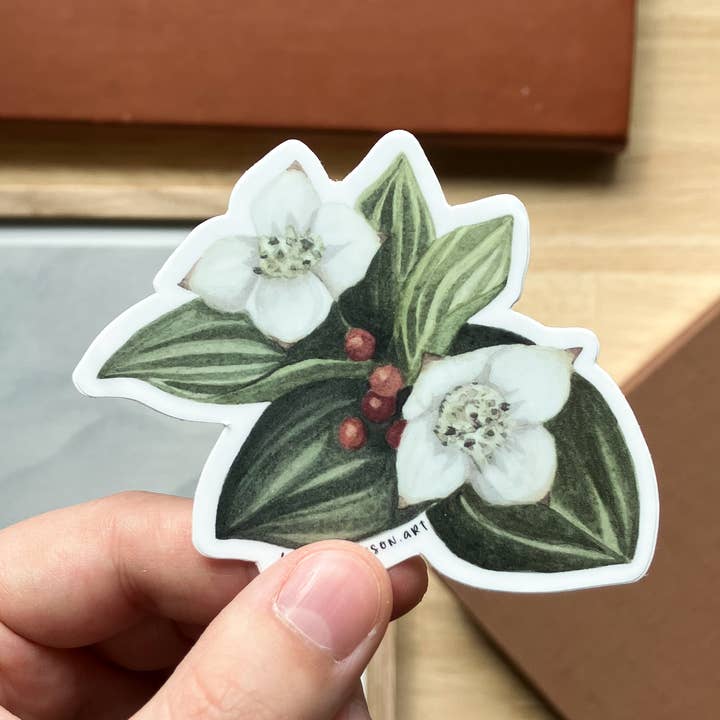 Autocollant Dwarf Dogwood pour la vente par Lauren Simpson Art