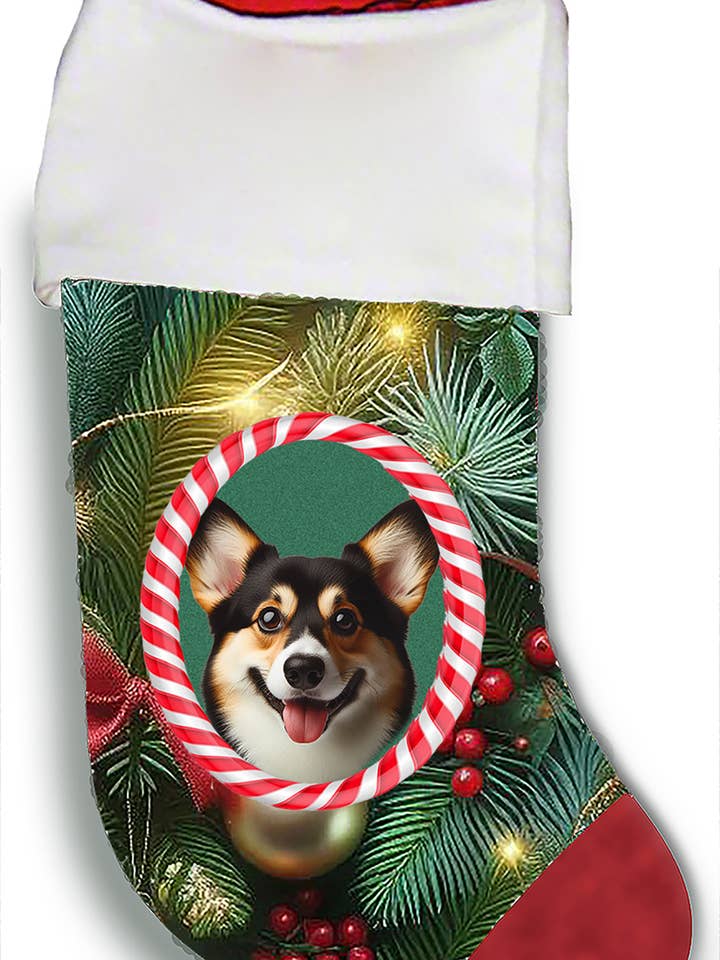 Corgi Pembroke Welsh Tri - Chaussette de Noël pour la vente par Best of Breed Products