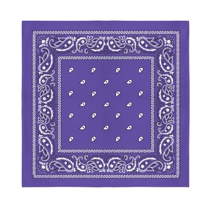 Auction Clearance - Wholesale Bandana - Unisex - 24 Pack Cotton Bandanas Paisley - 22 Inches7