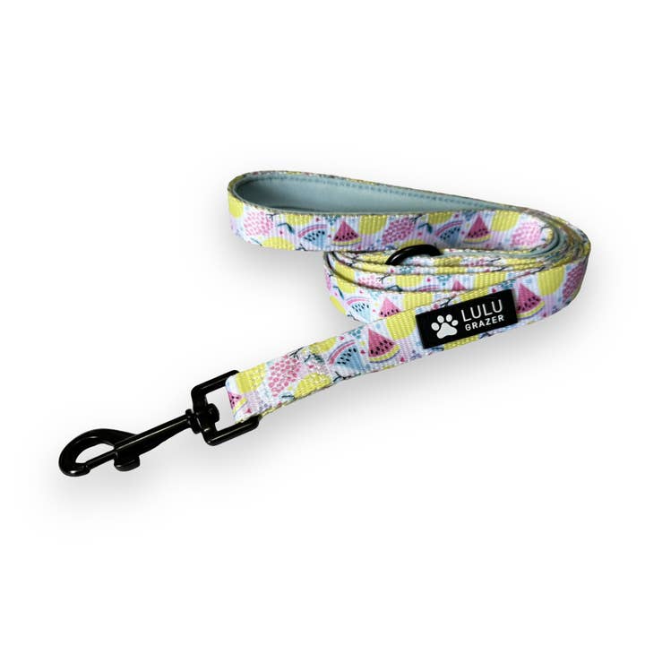 Laisse - Tutti Frutti pour la vente par Lulu Grazer