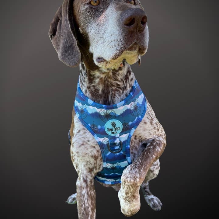Sew Fetch Dog Co - Wholesale Pet Harness - Dog - Compass Rose Reversible Neoprene Harness, Leashes, Poo bag