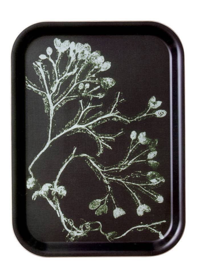 Seaweed Dark Olive Trays for wholesale by Pernille Folcarelli USA