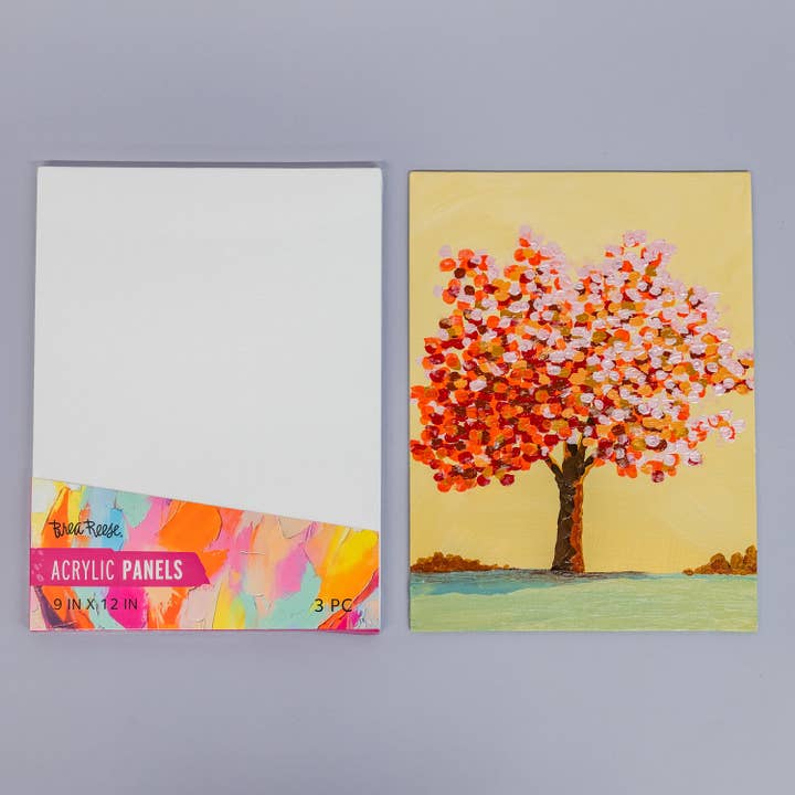 Panneaux Acryliques BR 9x12 Lot de 3 pour la vente par Momenta