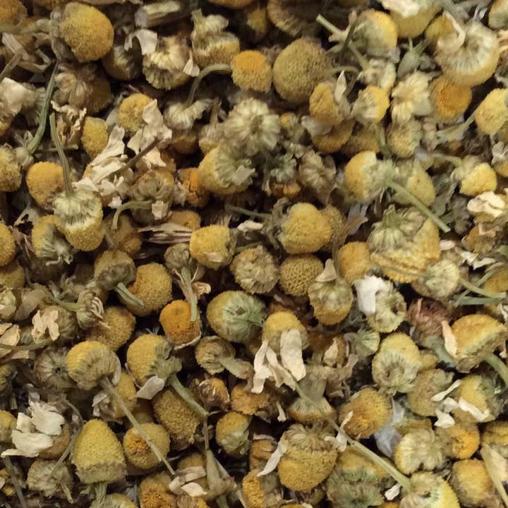 Chamomile - Herbal for wholesale by Ronnefeldt