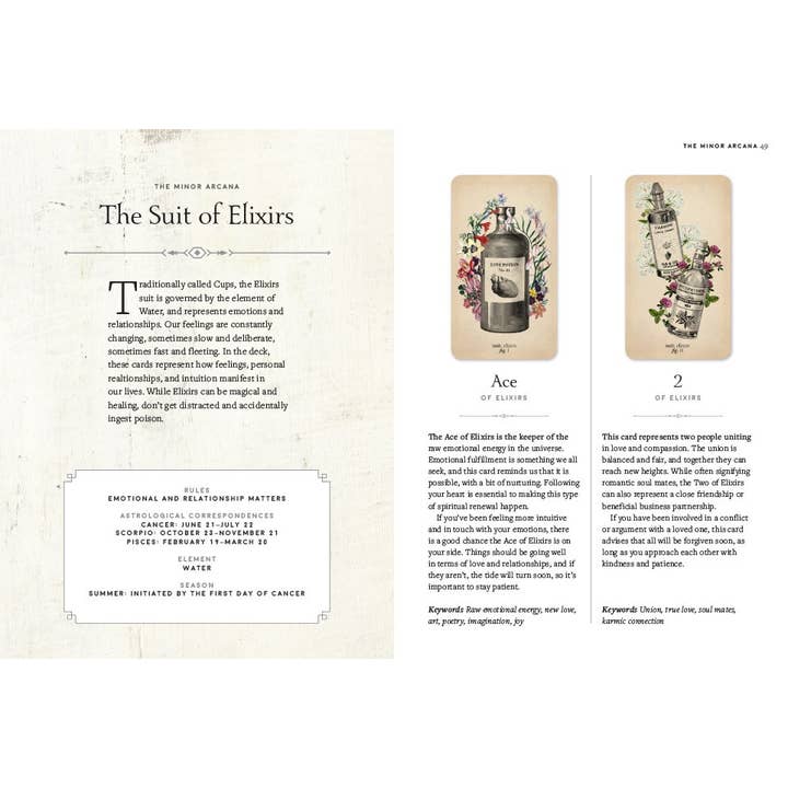 Abrams - Wholesale Tarot Cards - Antique Anatomy Tarot Kit4