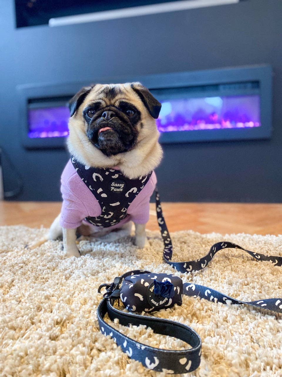 Sassy Paws Collection – Engroshandel Kæledyrssele – Hund – Hundebrystsele - 'Black Panther'6