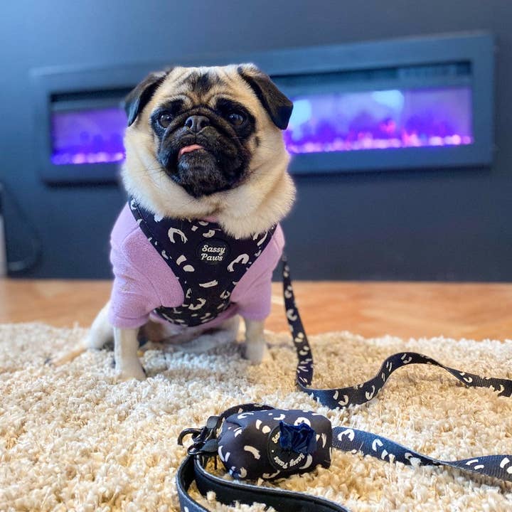 Sassy Paws Collection - Vente Harnais – chien - Harnais pectoral pour chien - « Black Panther »6