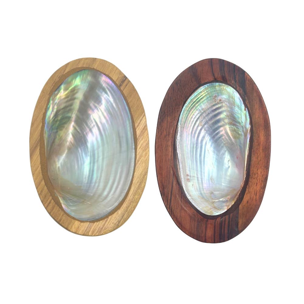 Earths Elements Wholesale - Wholesale Retailer Sample - Home Decor - Bowl - Shell Wood2