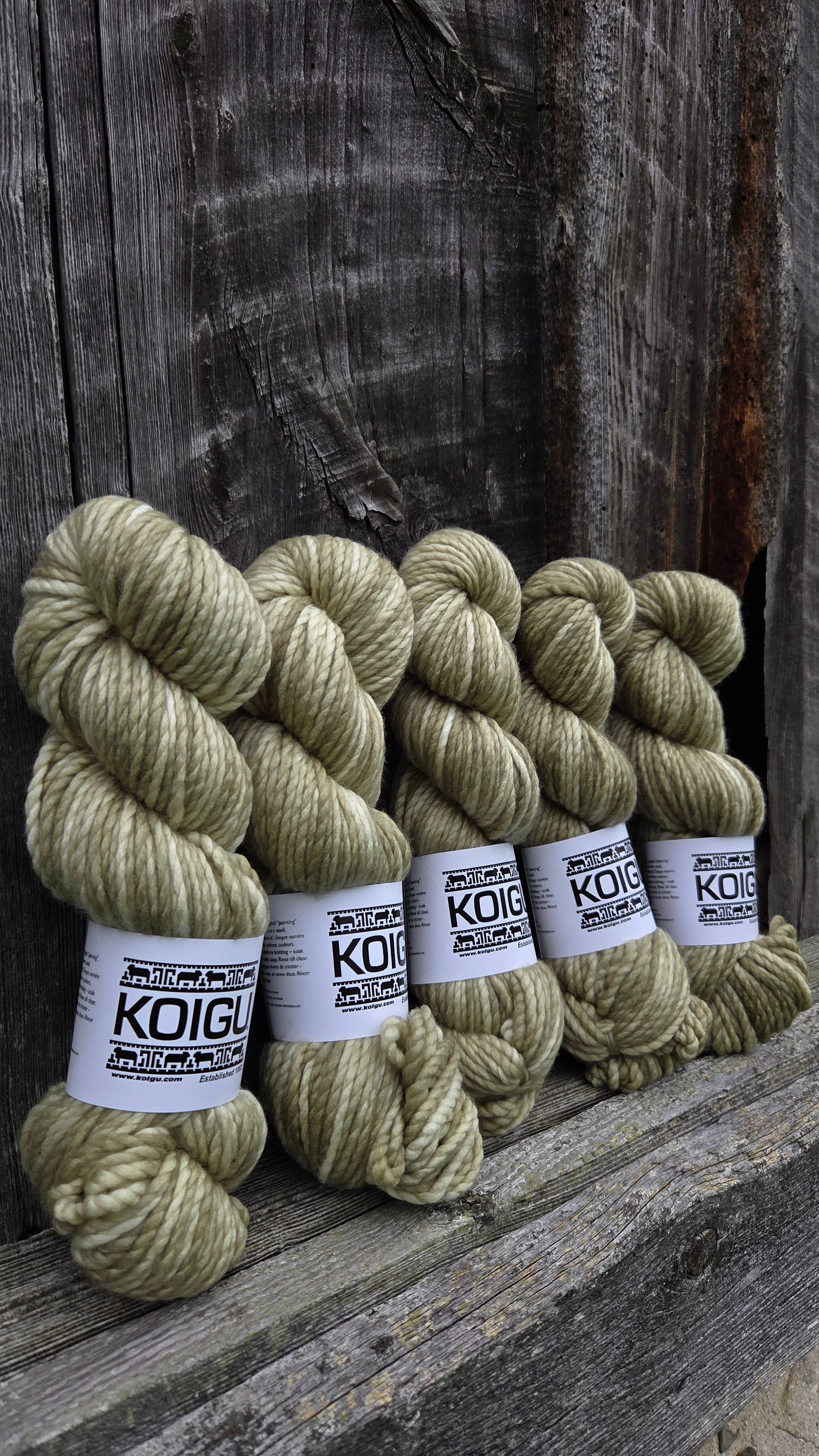 Koigu Wool Designs – Engroshandel Garn – Koigu Othello chunky merino garn gruppe A36