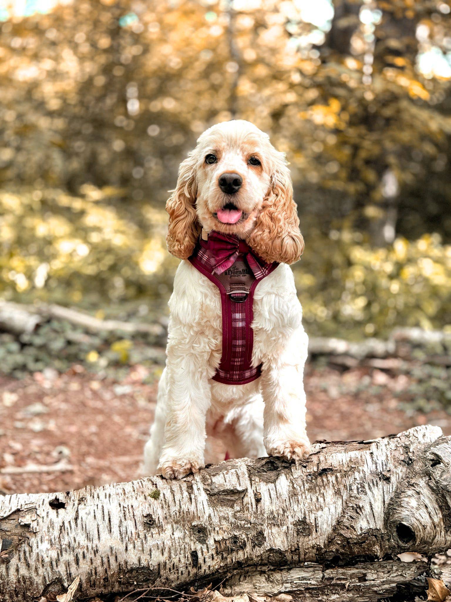 The aDoraBle Pooch Company - Wholesale Pet Harness - Dog - Streamline Pro™ Dog Harness - Heritage Collection - Merlot Manor18