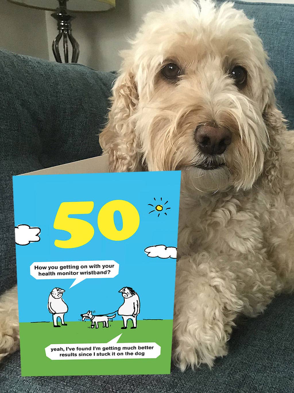 Brainbox Candy - Wholesale Birthday Card - Funny 50th Birthday Card Health Monitor By Modern Toss1