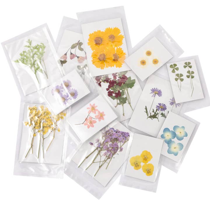 Sugarboo & Co - Wholesale Art Print - Pressed Botanical Collection - Assorted Set of 60