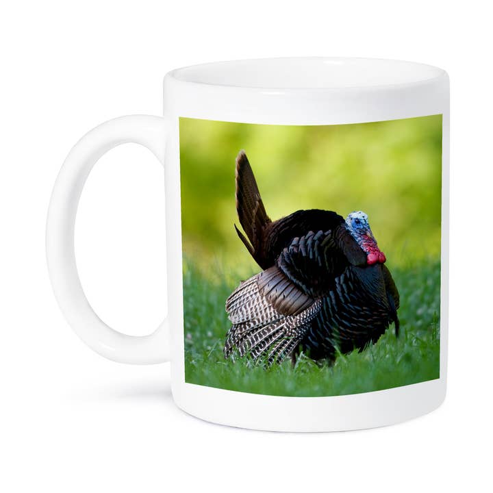 3dRose - Wholesale Coffee Mug - 3dRose, Eastern Wild Turkey gobbler strutting in field, Holmes Co. MS, Mug8