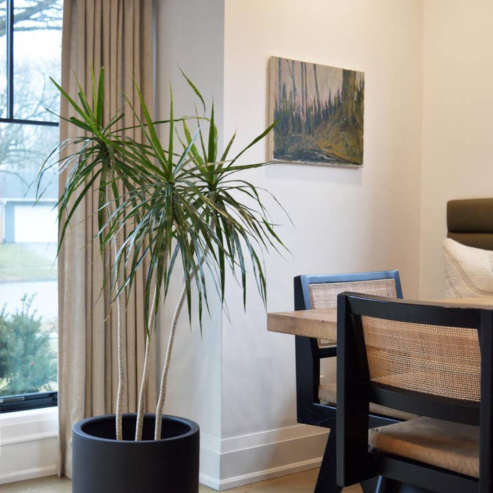 Common House Studio - Wholesale Plant Pot - FLUTED BASE PEDESTAL POT | PLANTER5