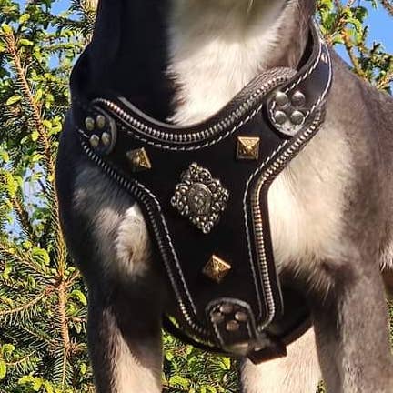 Le harnais Aztec noir de taille petite à moyenne pour la vente par Serendipityfile