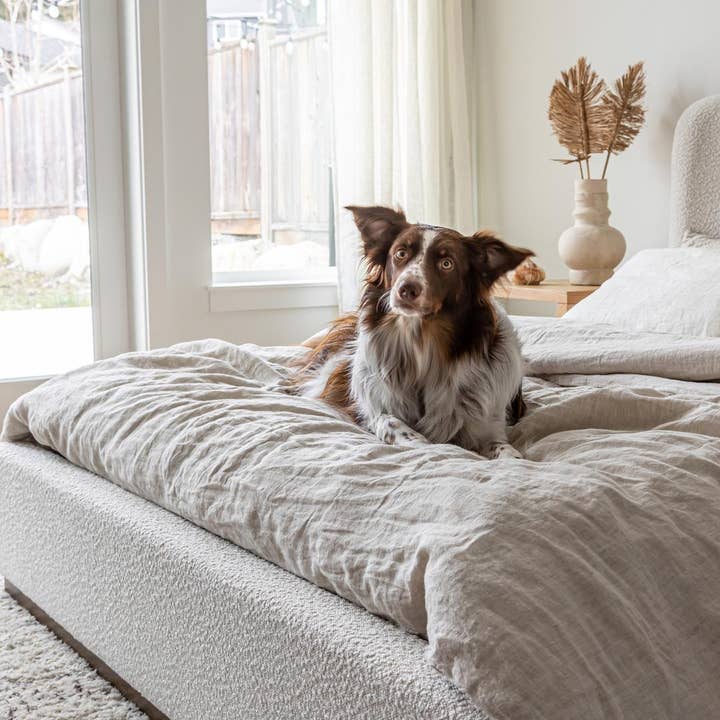 Style In Form - Wholesale Bed - Faye Queen Bed - Off White5