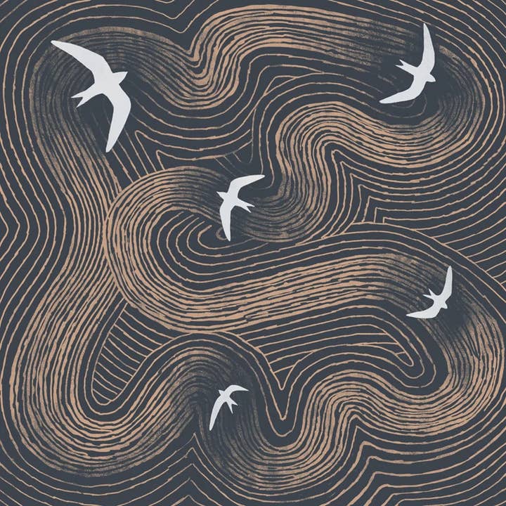 Swifts for wholesale by Paper Bird Publishing