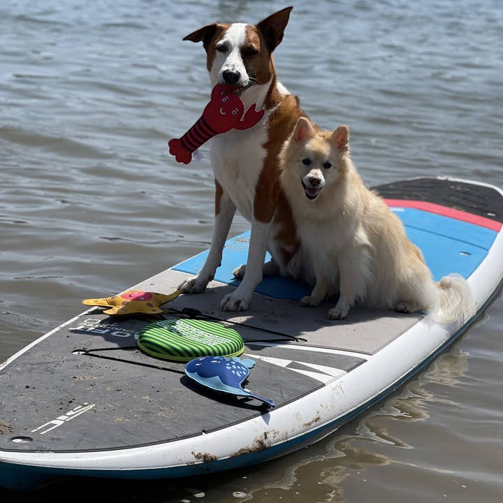 Pet Palette Distribution - Wholesale Pet Chew Toy - Dog - Jax & Bones Lola the Lobster Dog Toy Red 11"