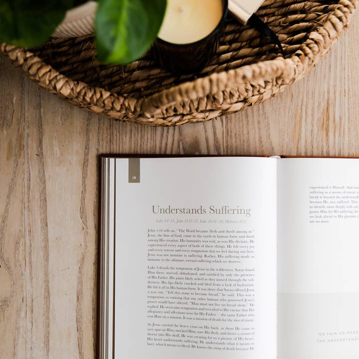 The Daily Grace Co - Wholesale Religion - The Heart of Christ | Lent Companion5