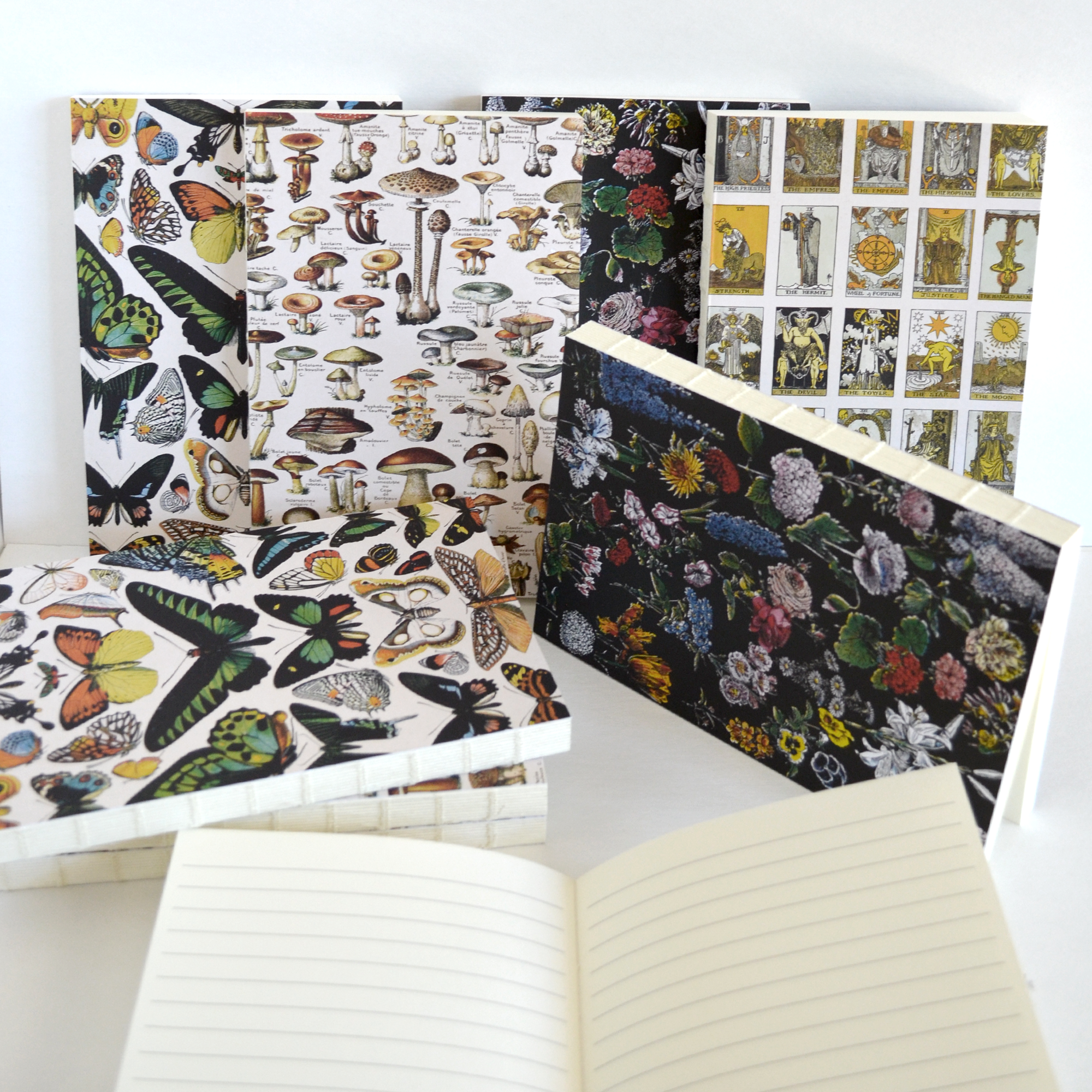 Curious Prints - Venta al por mayor Cuadernos - Cuaderno de Encuadernación Copta Expuesta de Mariposa Vintage6