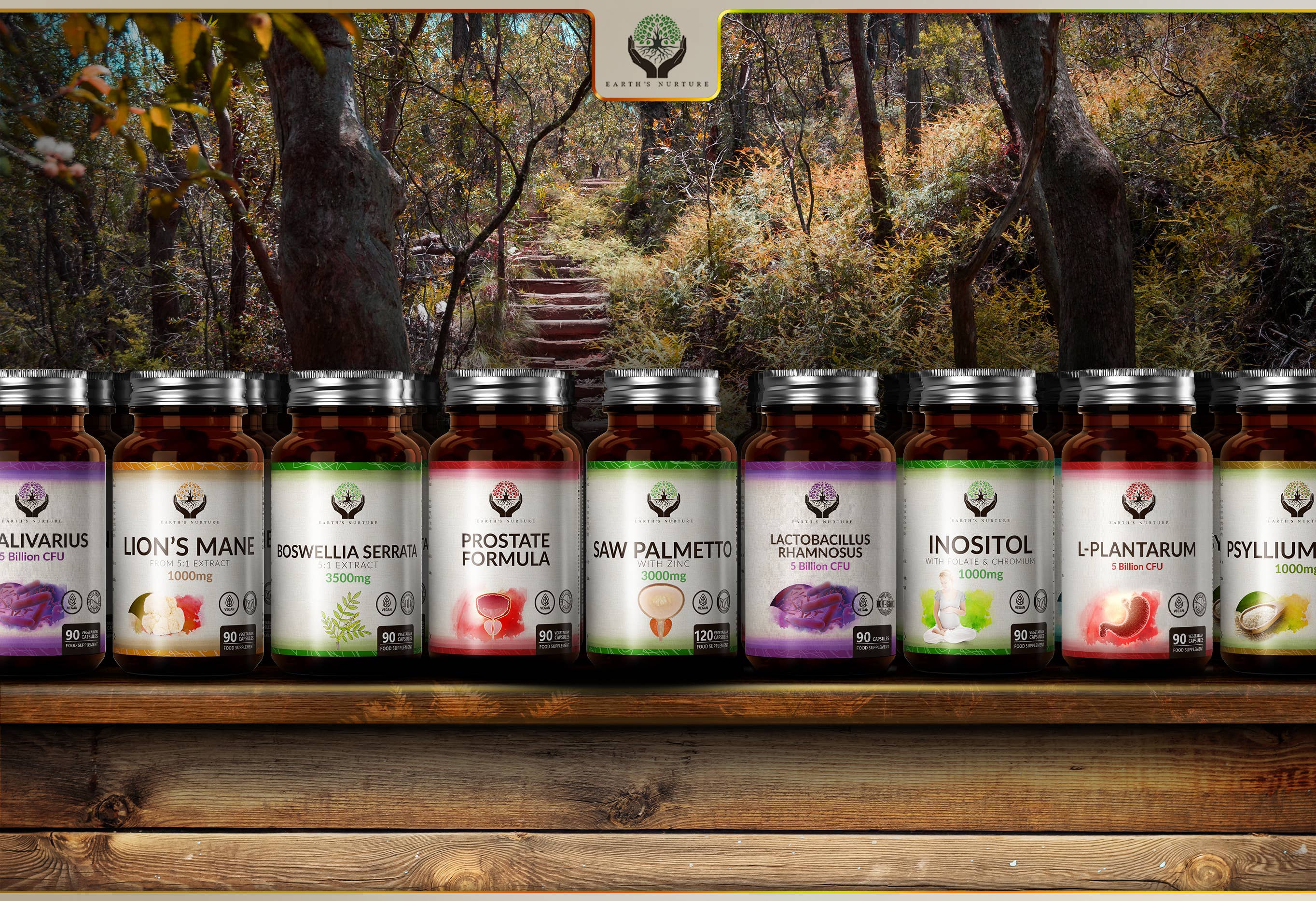 Focus Supplements - Vente Supplément oral/vitamine - Bitartrate de choline (700 mg) 120 gélules7