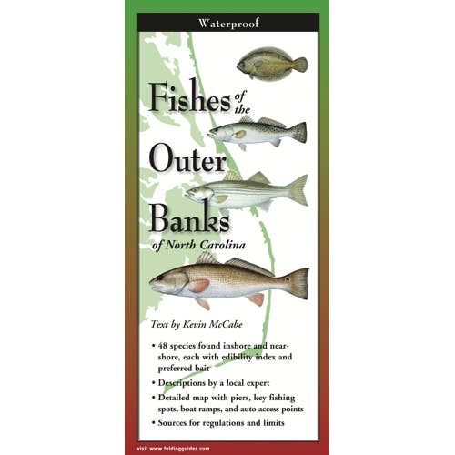 Fishes of the Outer Banks of NC for wholesale by Earth Sky + Water