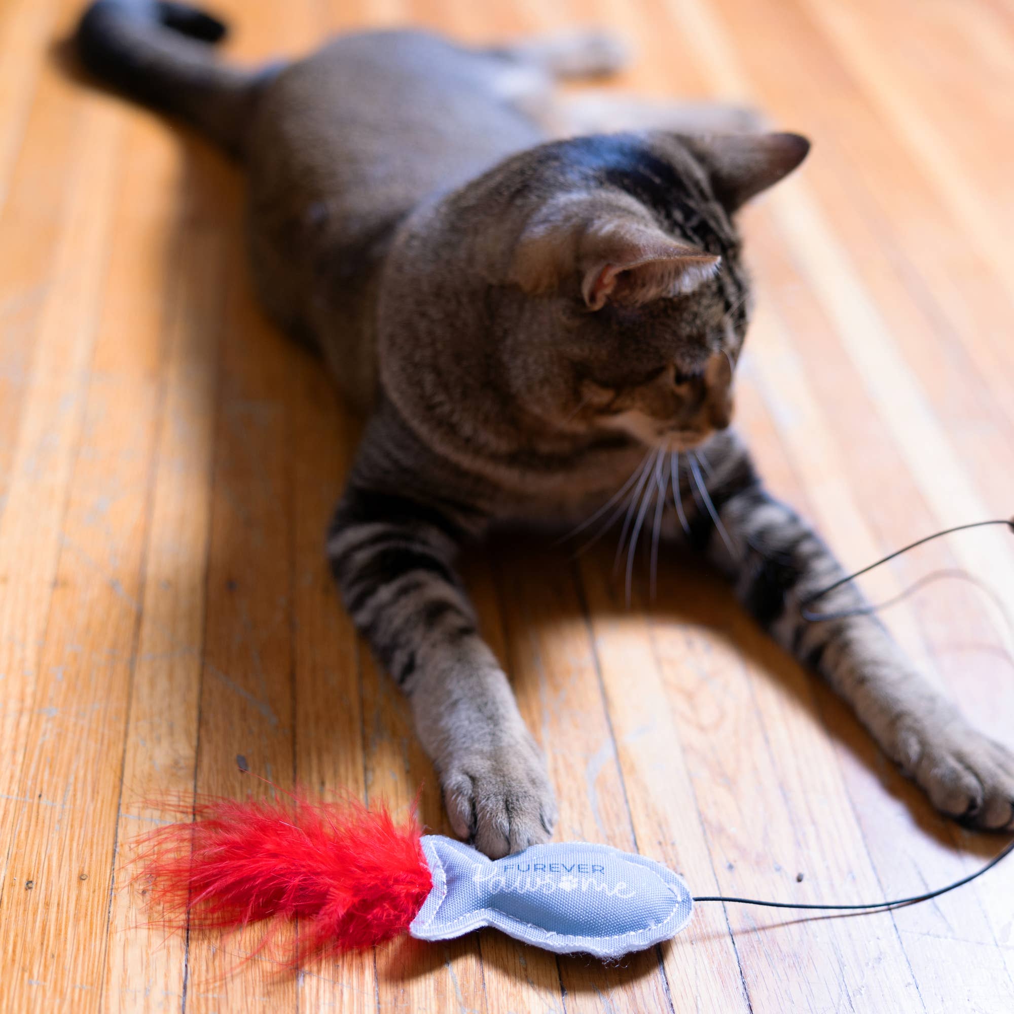 Pavilion - Wholesale Pet Toy - Cat - Fish - 18" Cat Teaser Wand1