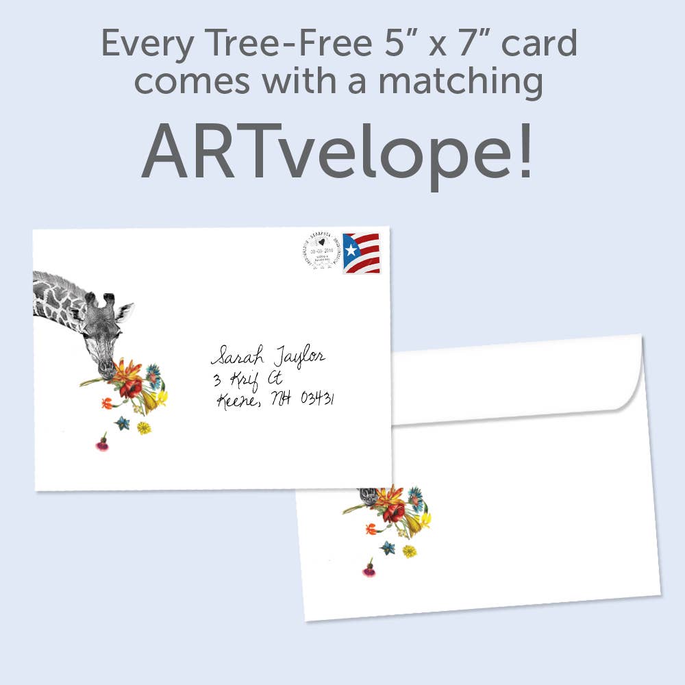 Tree-Free Greetings - Wholesale Everyday Greeting Card - Checking In Giraffe Support & Encouragement 146352