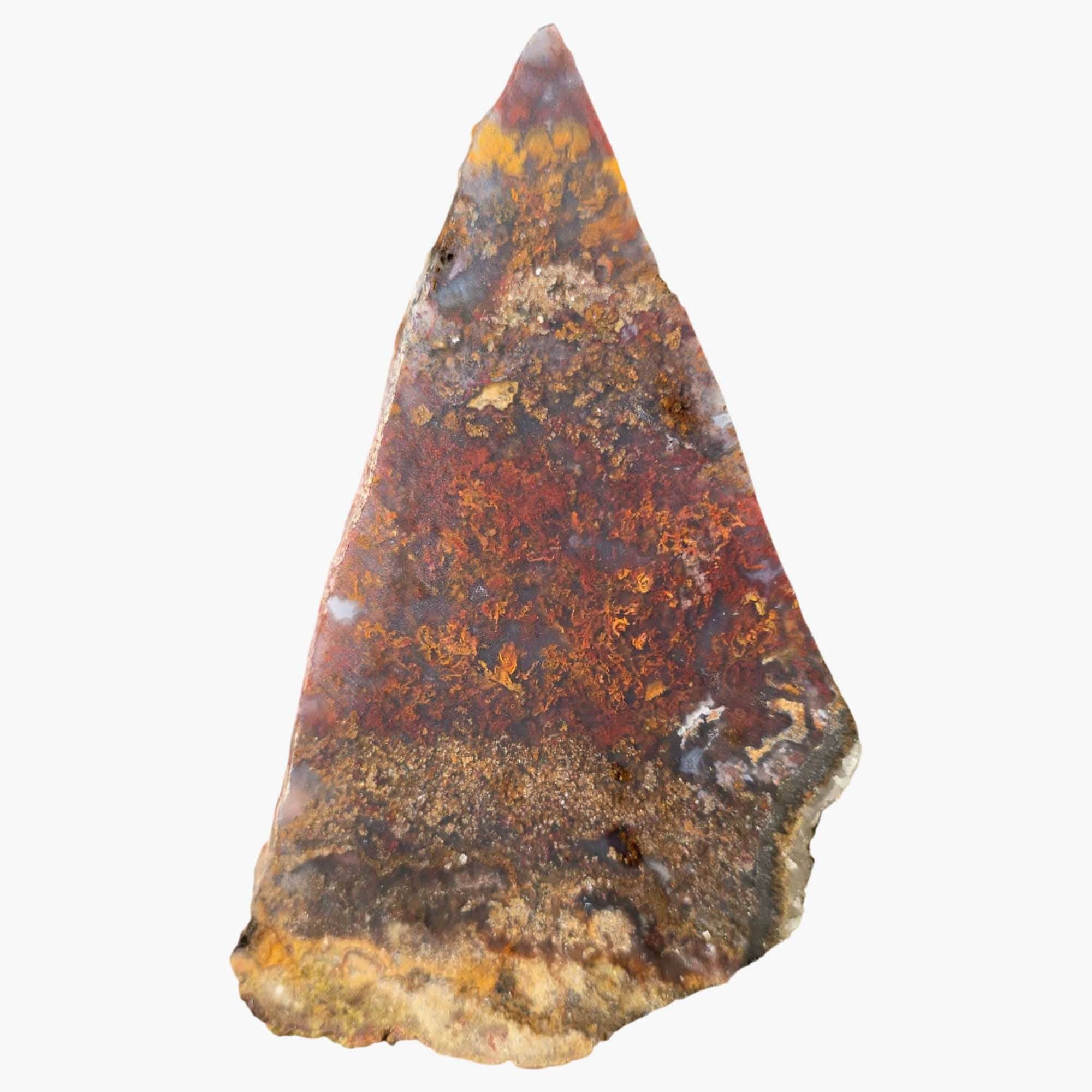 Lapidary Central - Wholesale Spiritual Stone/Crystal - San Carlos Agate Slab Vibrant Red Moss and High-Contrast Agate Pattern5