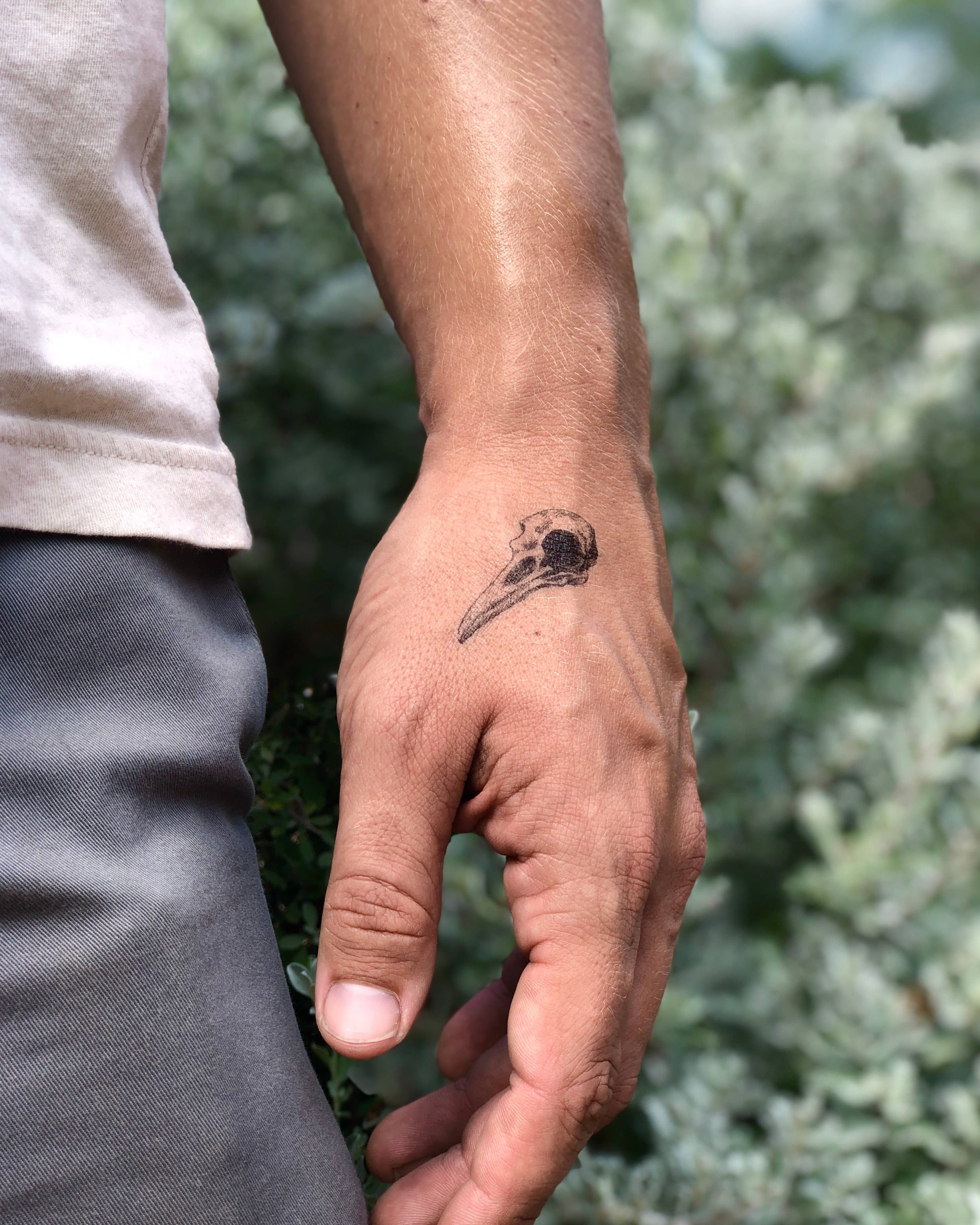 NatureTats - Vente Tatouages temporaires - Désert sauvage Tattoo Temporaire6