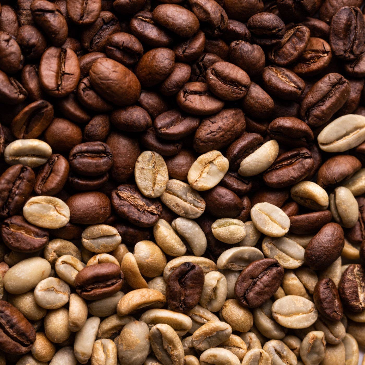 The Smoking Tiger - Wholesale Coffee Beans - Ethiopia (Yirgacheffe) - Kochere Boji Grade 1 Washed1